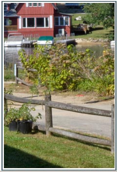 Lake view from Cottage